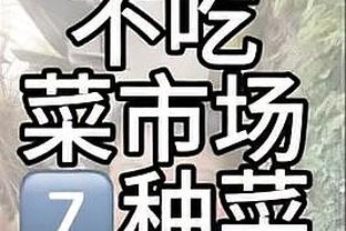 开云app入口网页版登录截图2